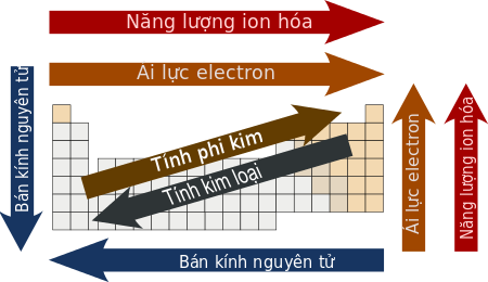 Tính chất của các nguyên tố trong bảng tuần hoàn biến đổi theo quy luật