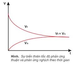 Cân bằng hóa học là trạng thái của hệ phản ứng thuận nghịch mà tốc độ phản ứng thuận bằng tốc độ phản ứng nghịch